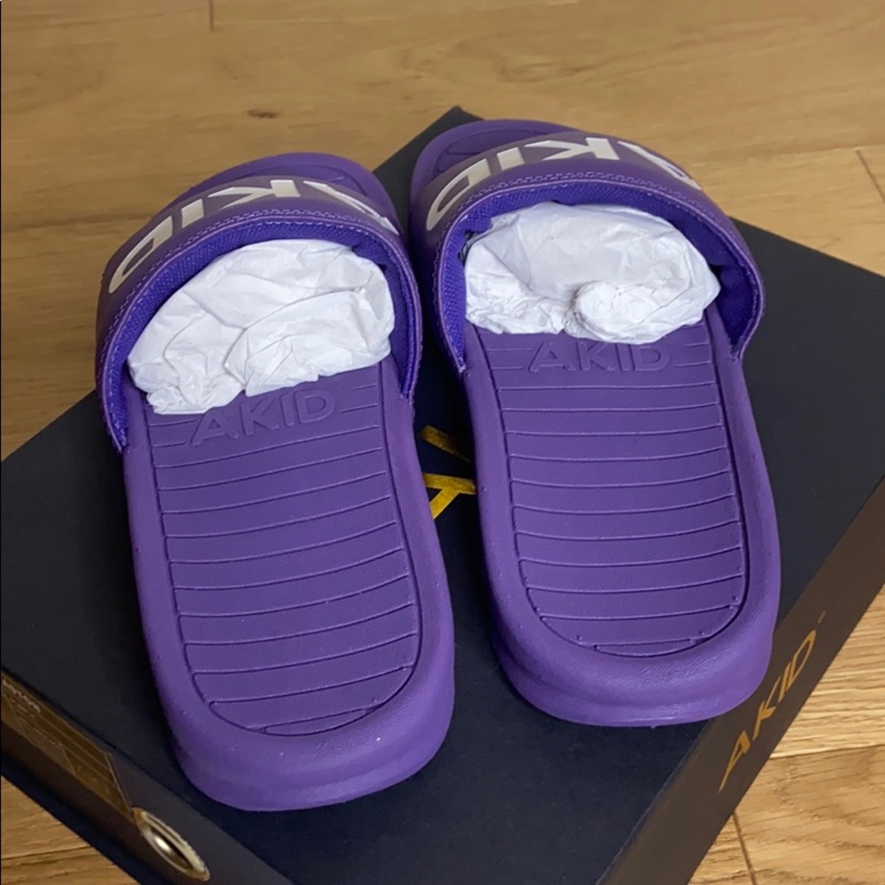AKID slides - Picture 3 of 5